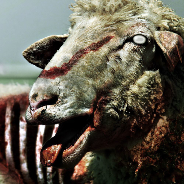 Zheep Catan Zombie Sheep